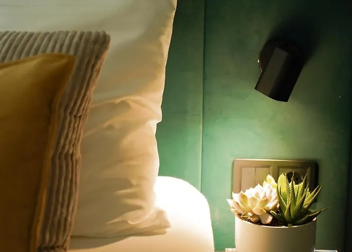 Design & Budget Schoenbrunn Viyana